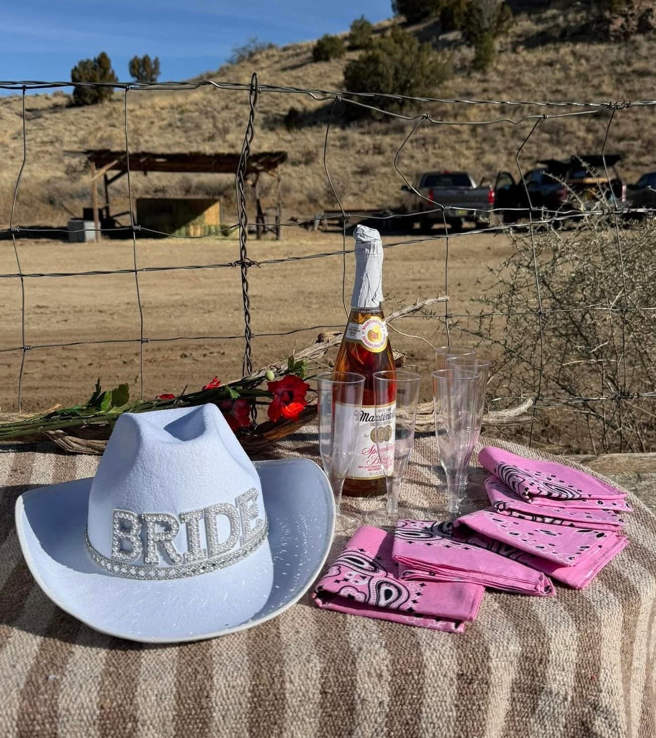 Romantic Carriage Ride in Los Cerrillos — Turquoise Hills 20-Minute Experience