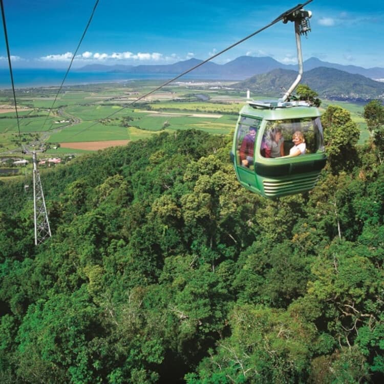 Skyrail to Kuranda: Rainforest Gondola, Village Markets & Historic Scenic Railway