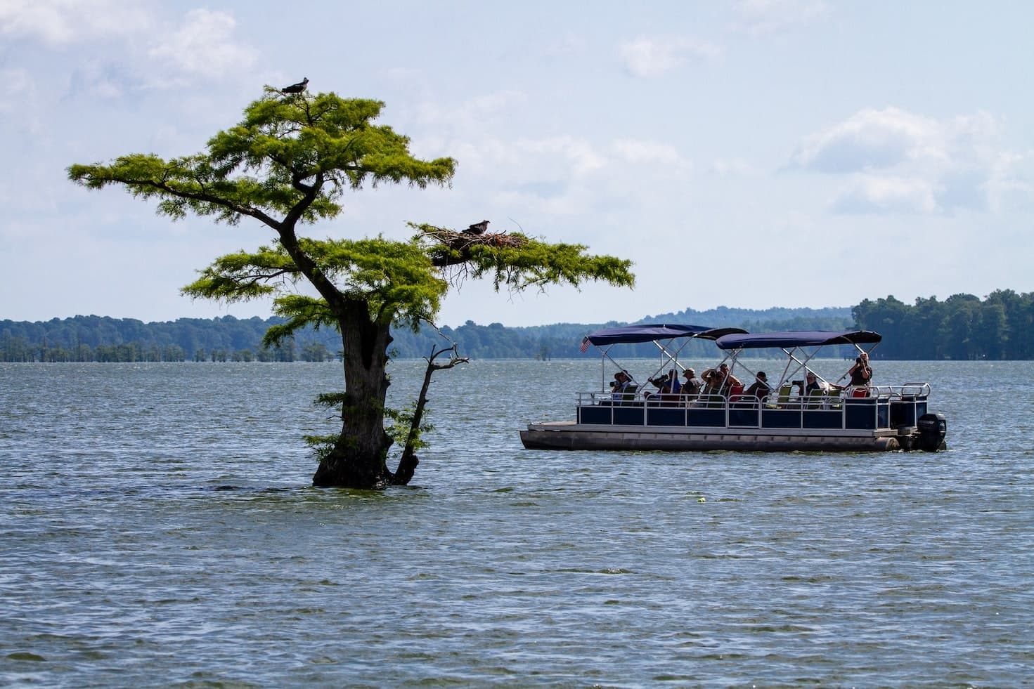 Water Activities & Wabamun Marina: Ultimate Pontoon Experience