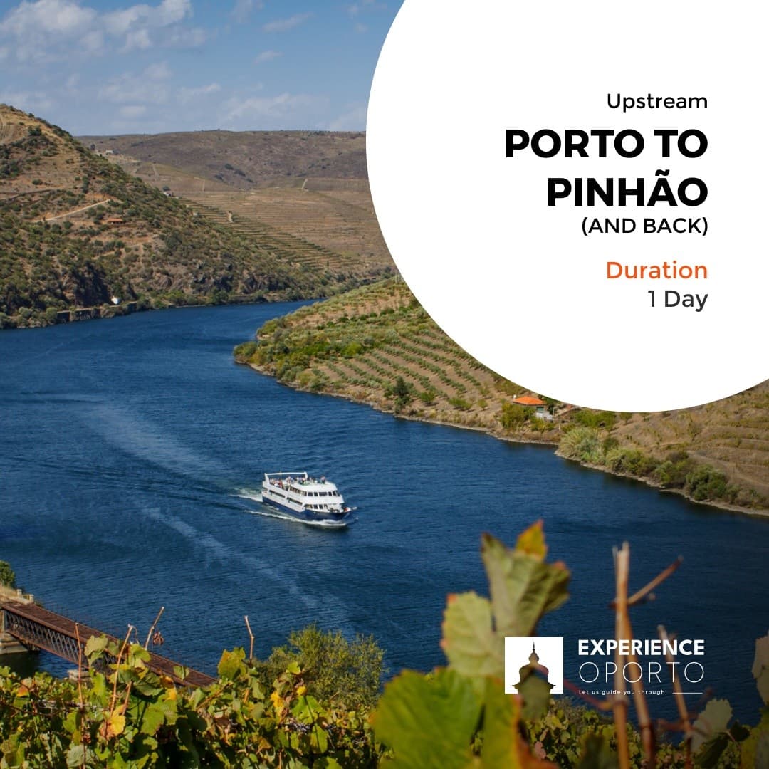 Douro Upstream Cruise: Porto to Pinhão Day Trip with Wine Tasting