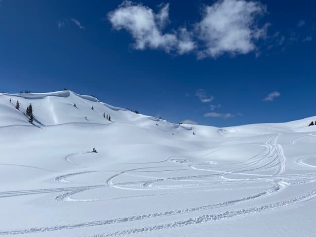 Experience Private Powder Riding Adventures in Bridger-Teton National Forest
