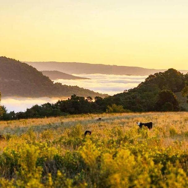 Sunrise Knoll Primitive Camping in Kingston, Arkansas