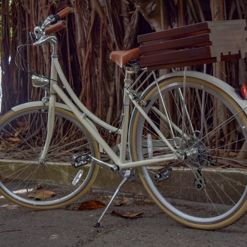 Explore Cozumel on Two Wheels: Your Ultimate 48-Hour Bicycle Rental Guide