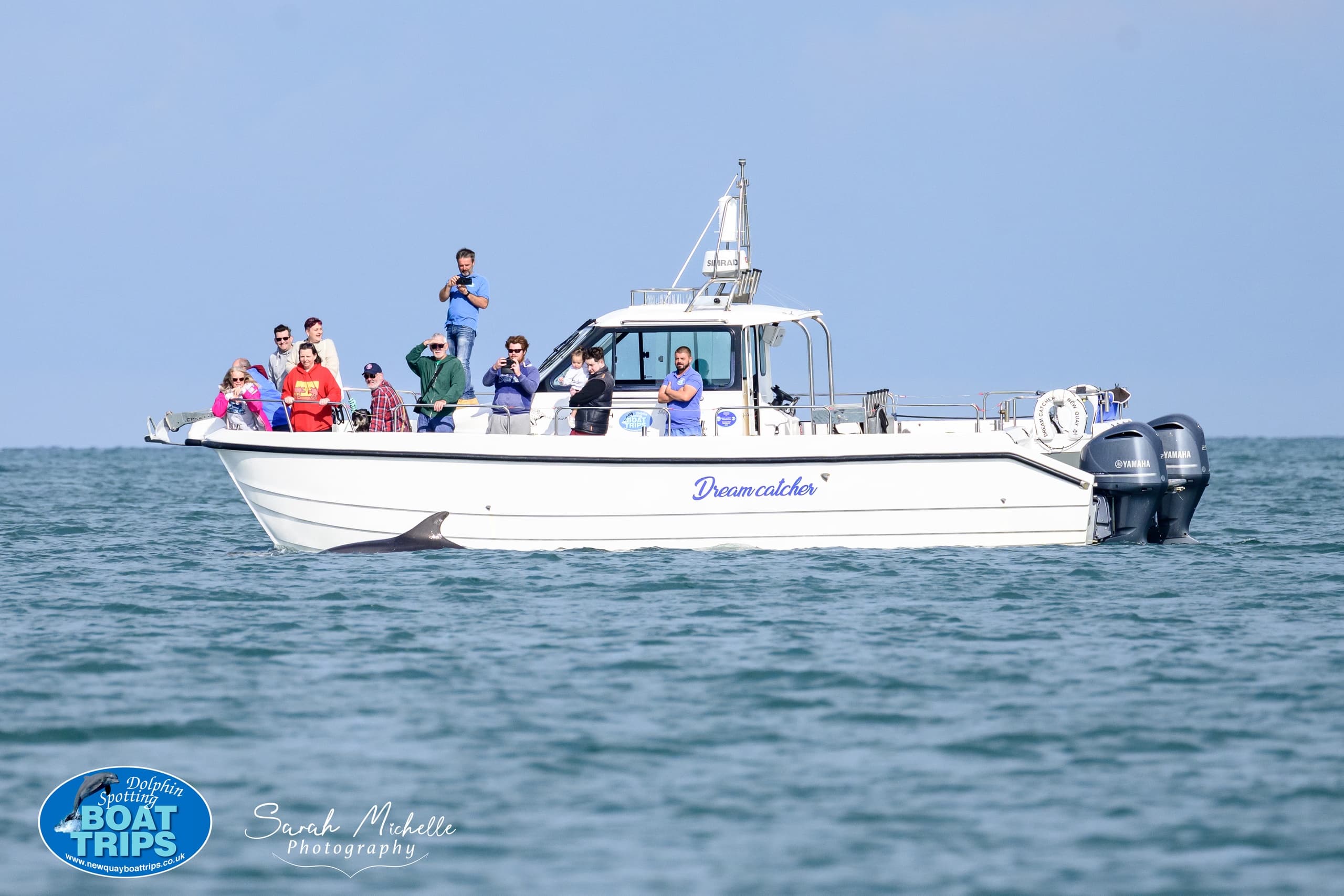 Wildlife Boat Trips with New Quay Boat Trips in Wales