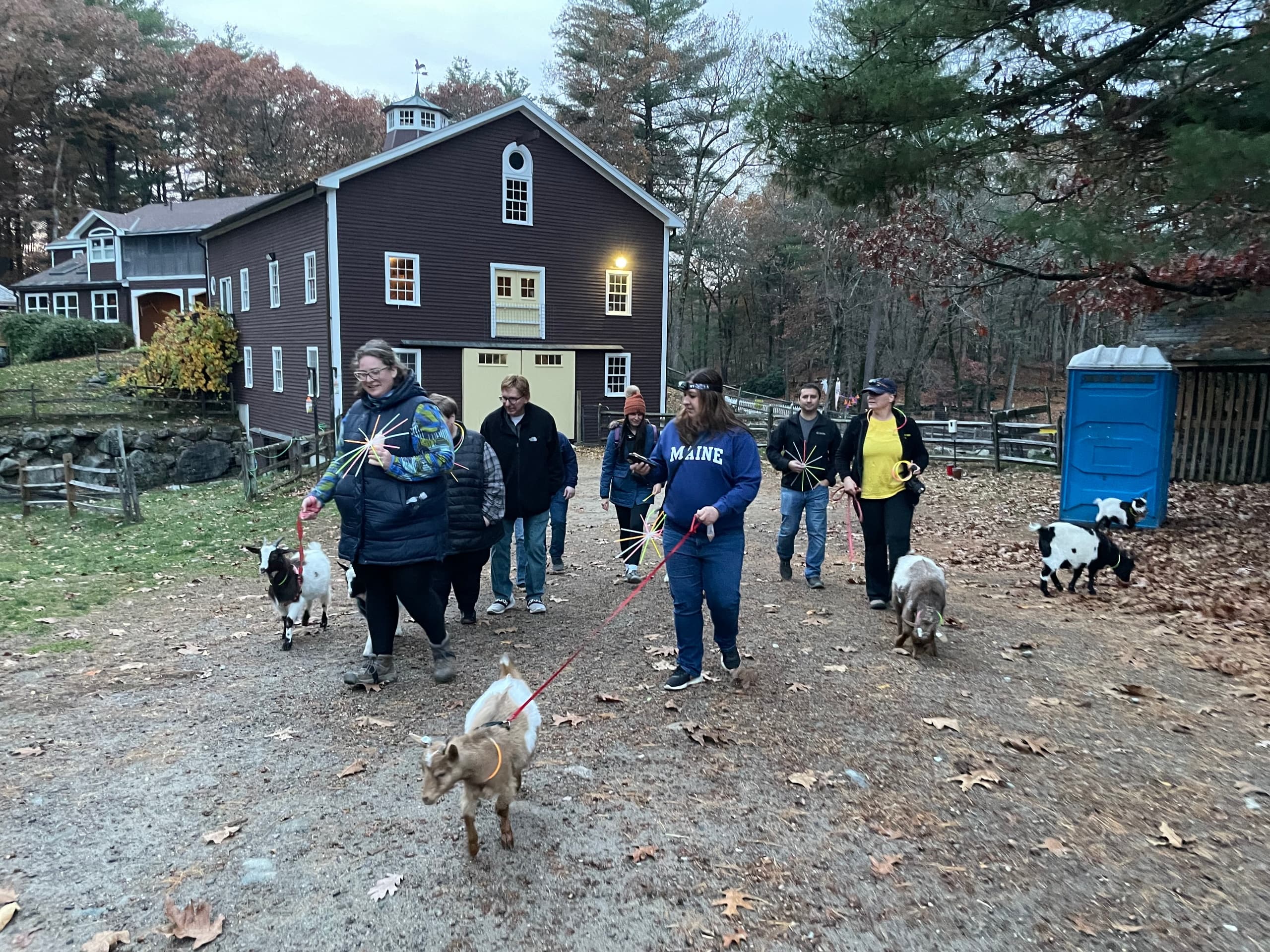 Group walking goats on wooded farm trail near a country barn