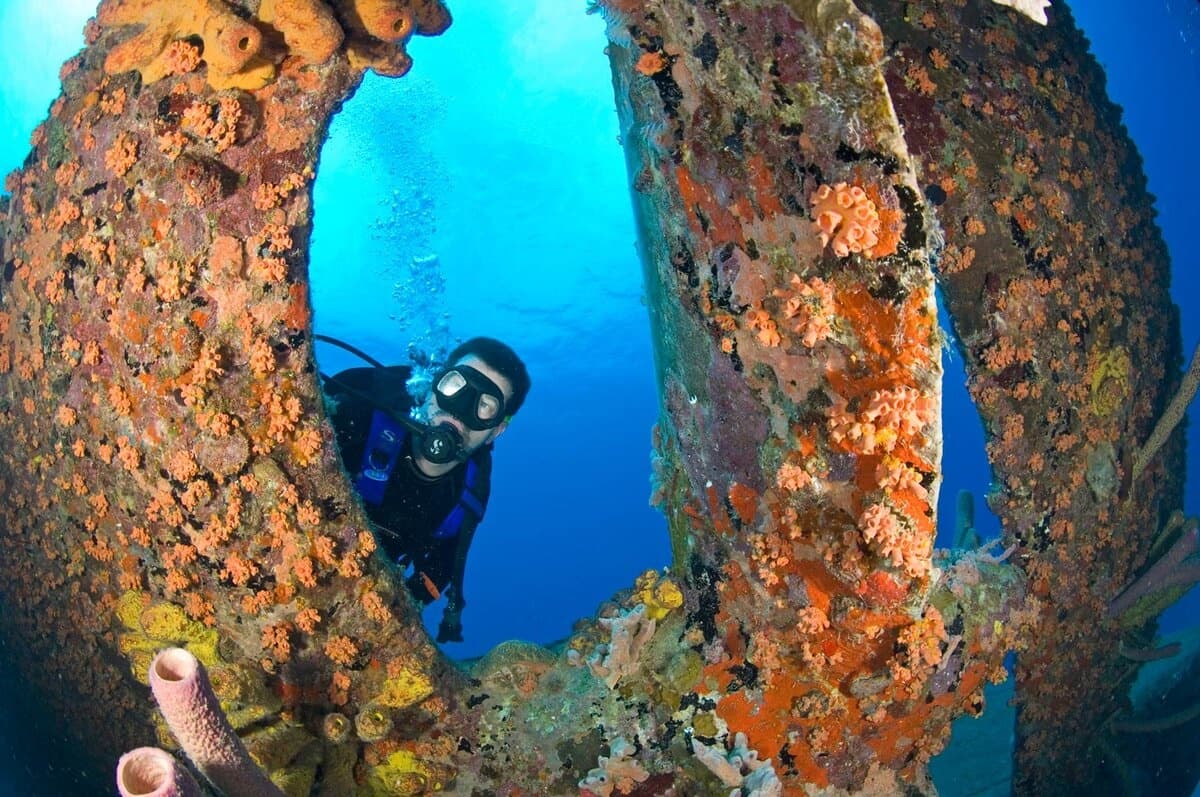 Bonaire Dive Trip at Divi Flamingo — Calabas Reef & Unlimited Shore Diving photo 4