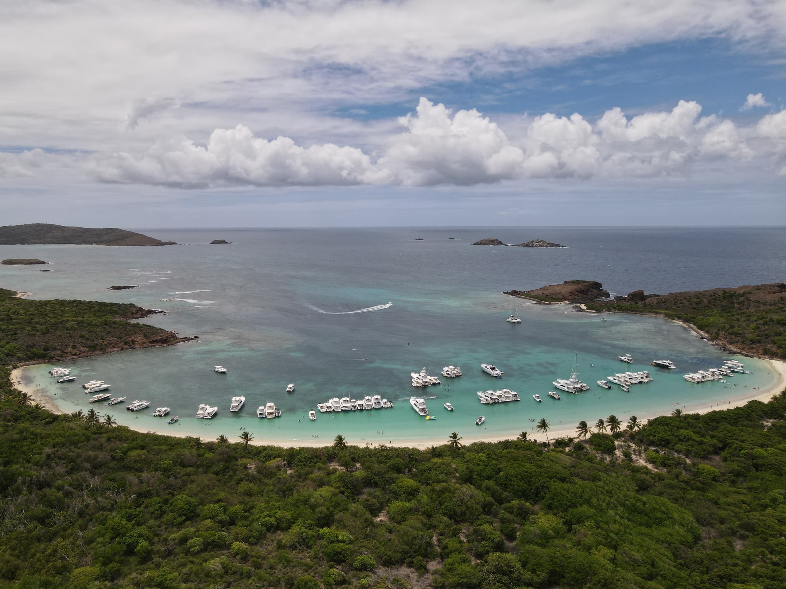 Escape To Paradise PR fleet