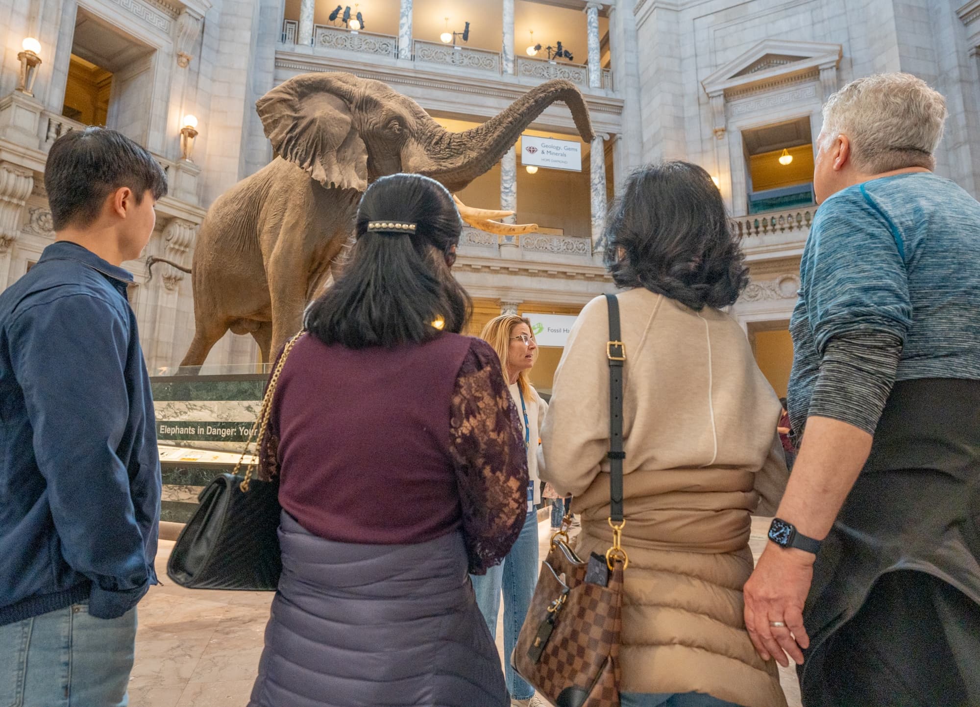 Smithsonian Highlights: 3-Hour Guided Museum Walking Tour in Washington, D.C.