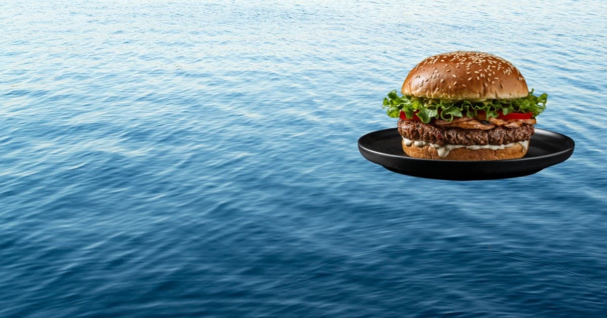 Burger & Sunset Cruise on the Seneca River — Dinner and a 75-Minute Evening Cruise