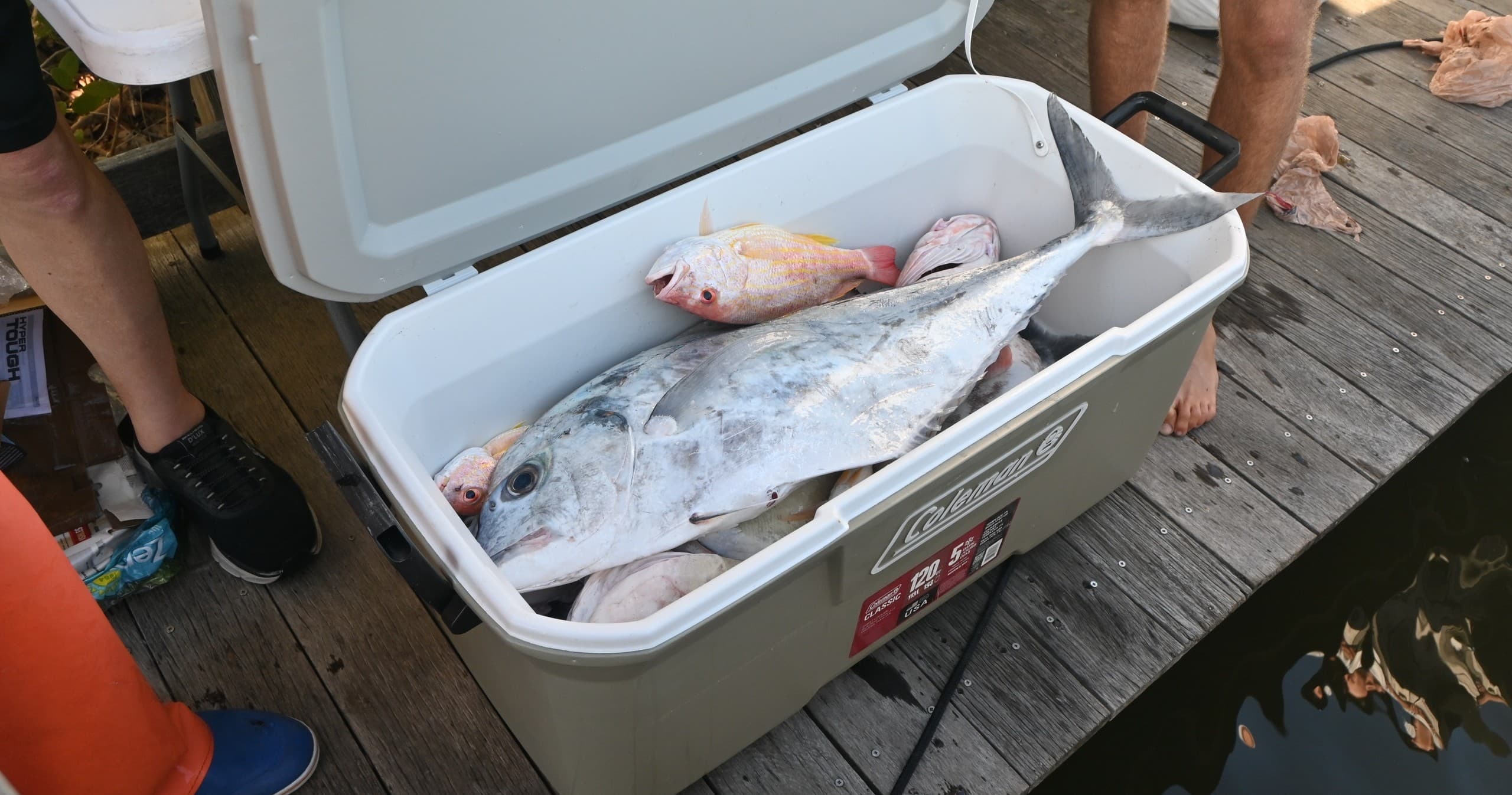 12-Hour Red Snapper Open Boat: Naples Offshore Fishing with Captain Alec photo 3