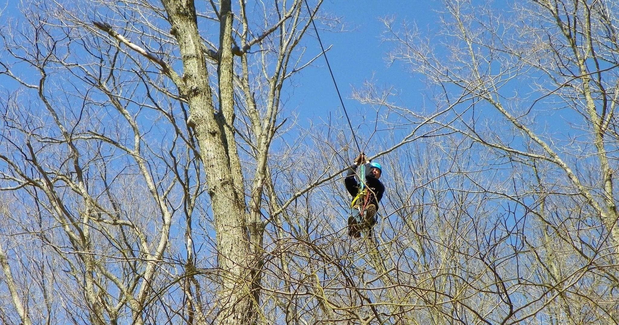 Thrilling Long Course Canopy Tour at Squire Boone Caverns