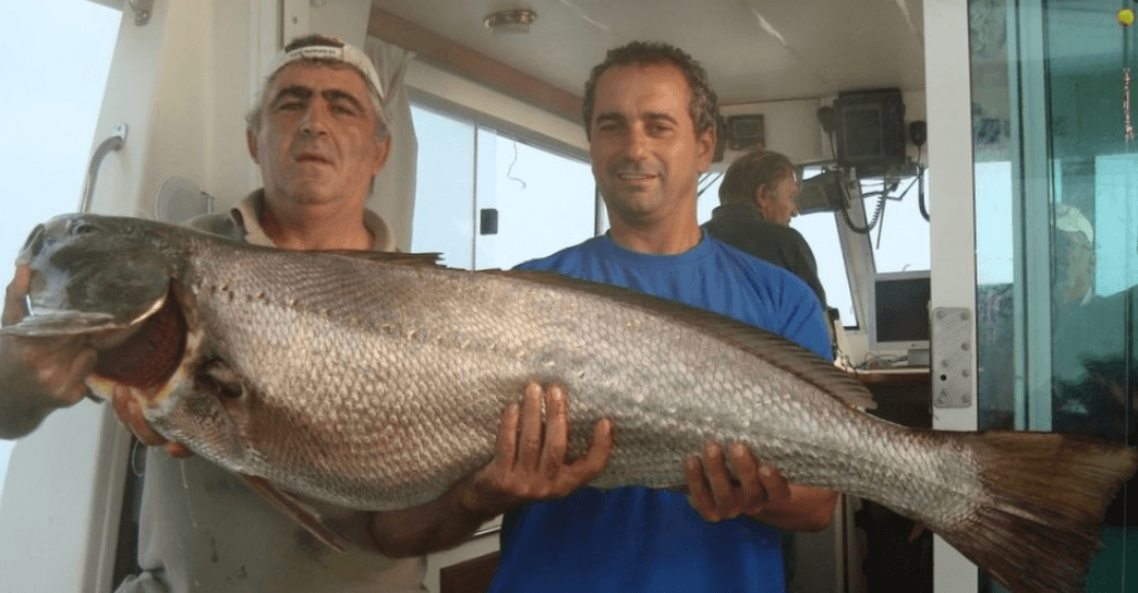 Sunset Fishing from Cascais with where-to-go-in-lisbon
