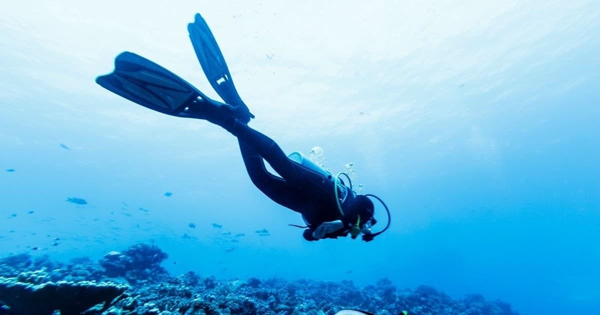 Small-Group Cozumel Guided Boat Dives from Avalon: Intimate Reef Adventures