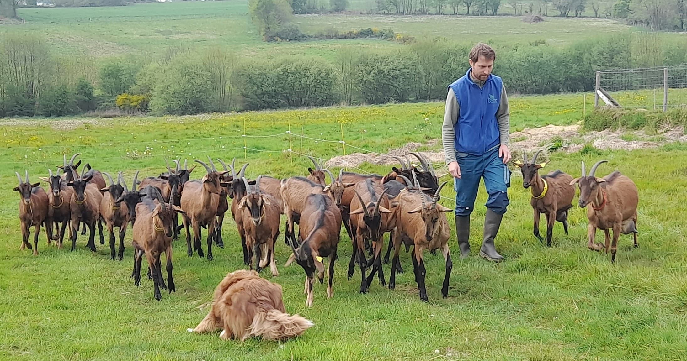 Land Adventures at Goat Farmer for a Day in Hermeillon