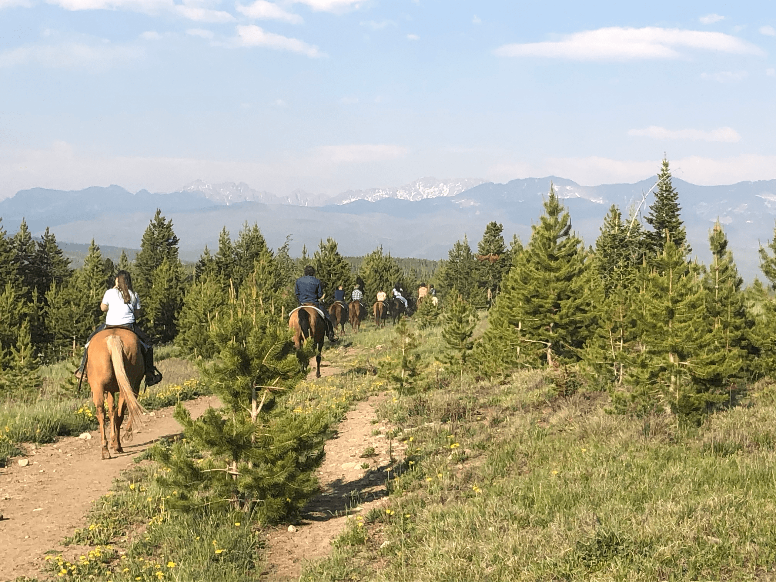 Two Hour Scenic Trail Ride in Granby, Colorado