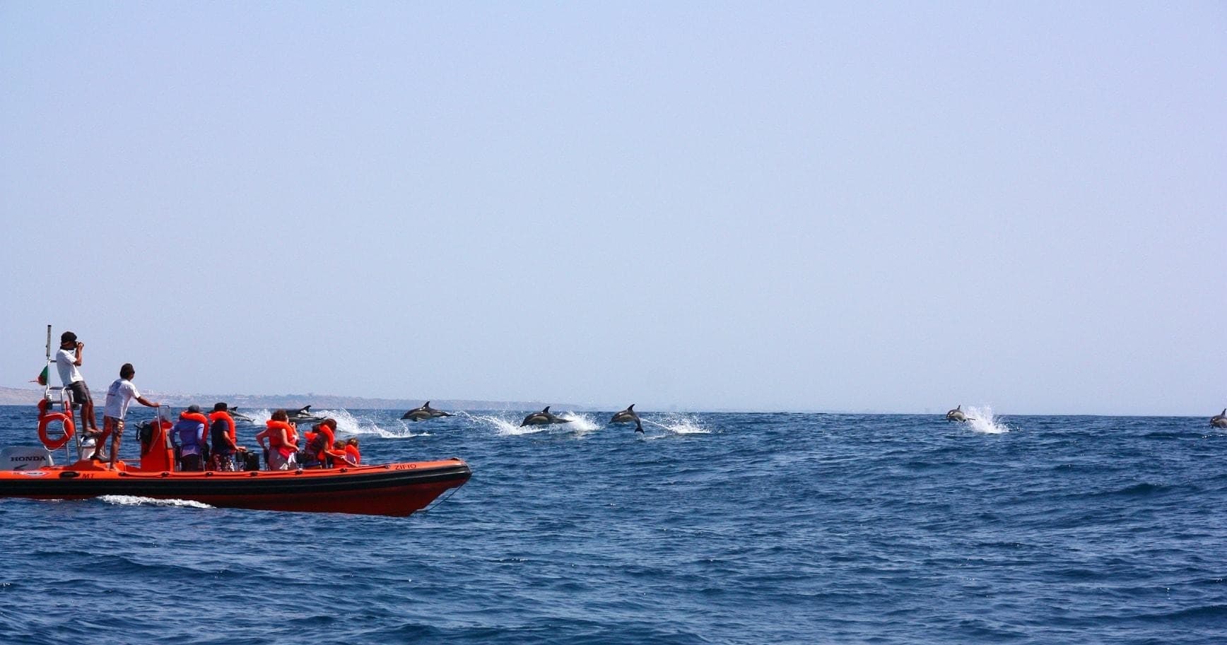 Coastal wildlife tour boat with distant dolphins on open sea