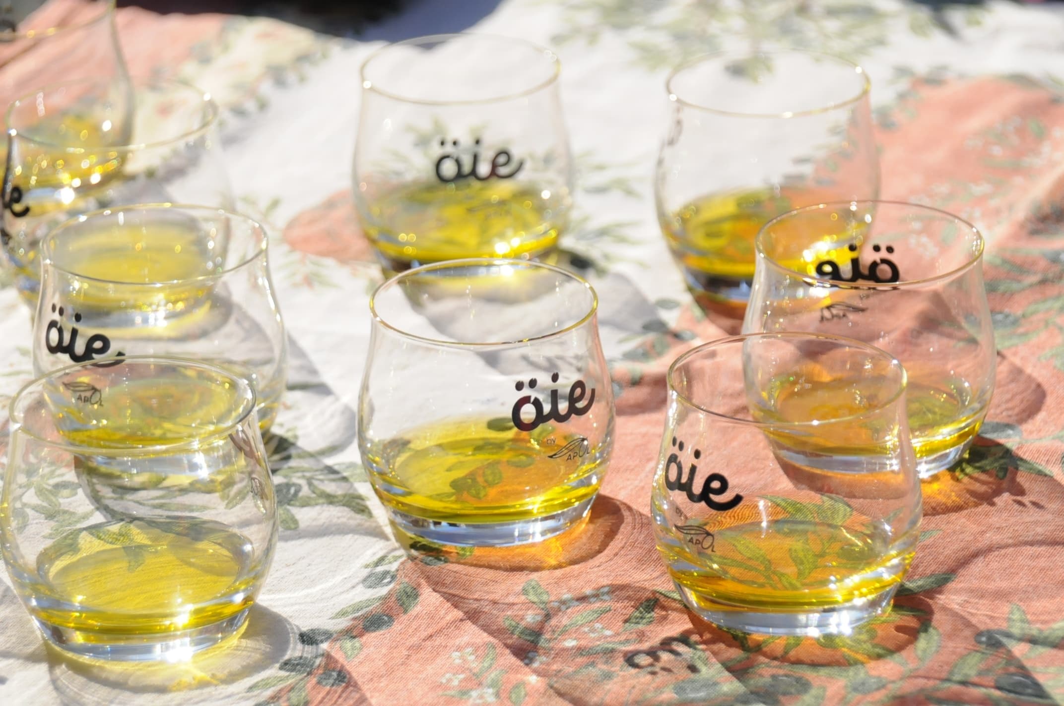 Cinque Terre Farm Tour: Arbaspaa Tasting in Riomaggiore