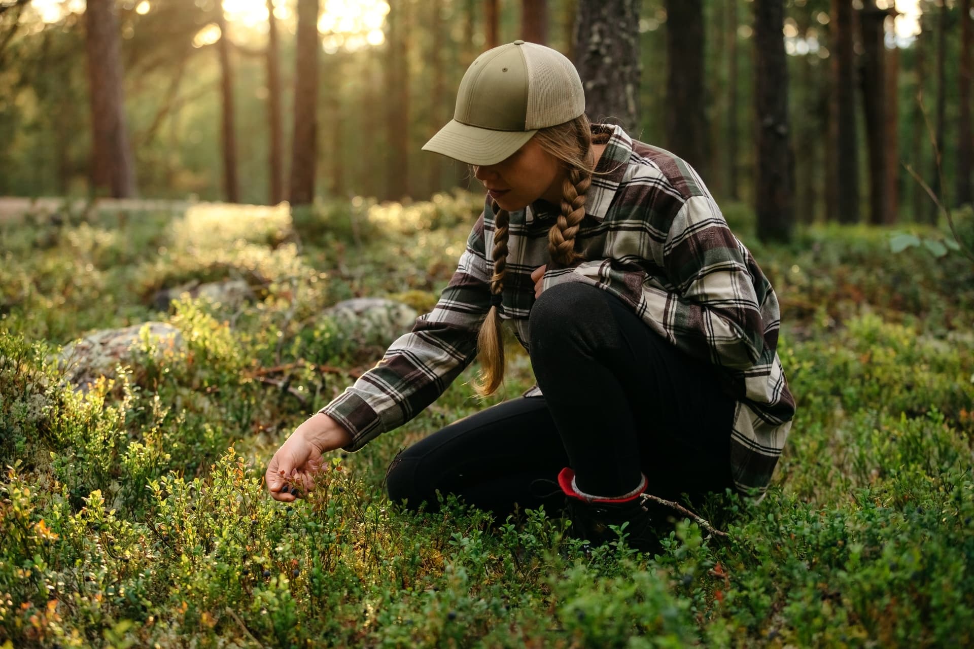Wild Food & Foraging at Wilderness Hotel Juutua