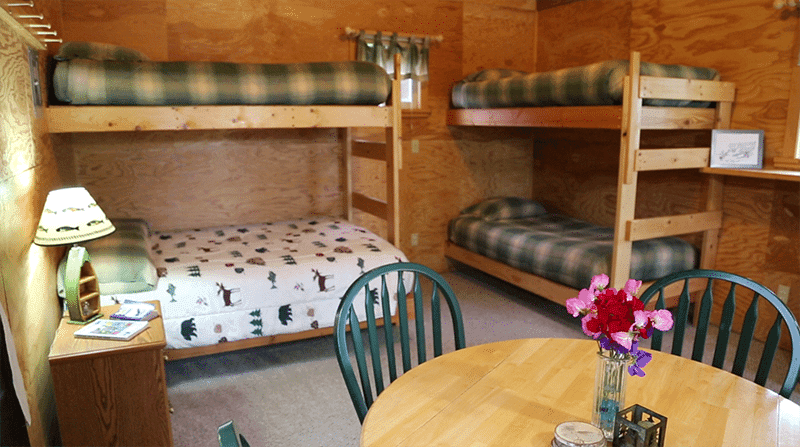All Inclusive Cabin & Fishing at Northwoods Lodge in Skwentna