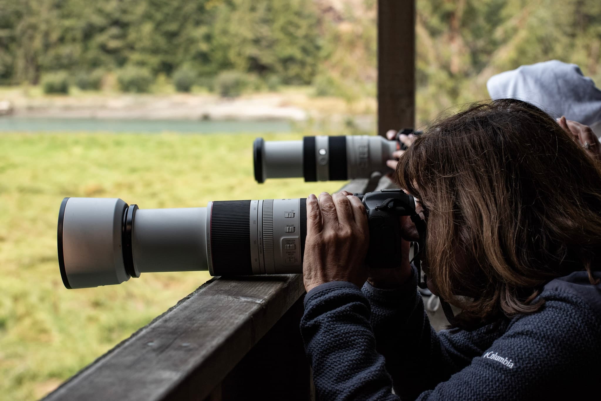 Wildlife & Photography: Grizzly Bear Workshop in Campbell River