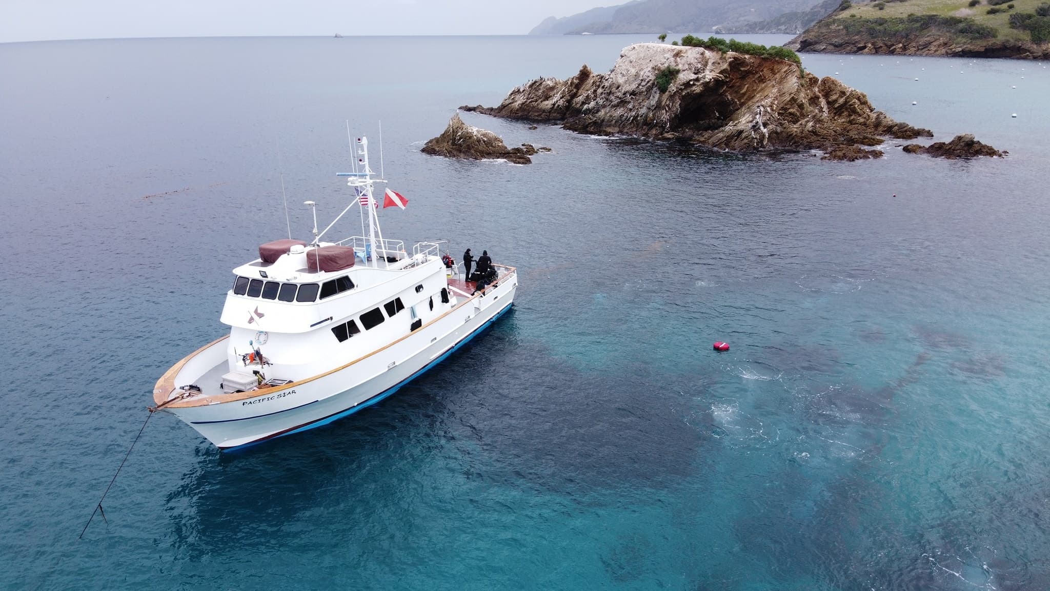 Dive Charter with EcoBlue Tours in Ras Al Khaimah