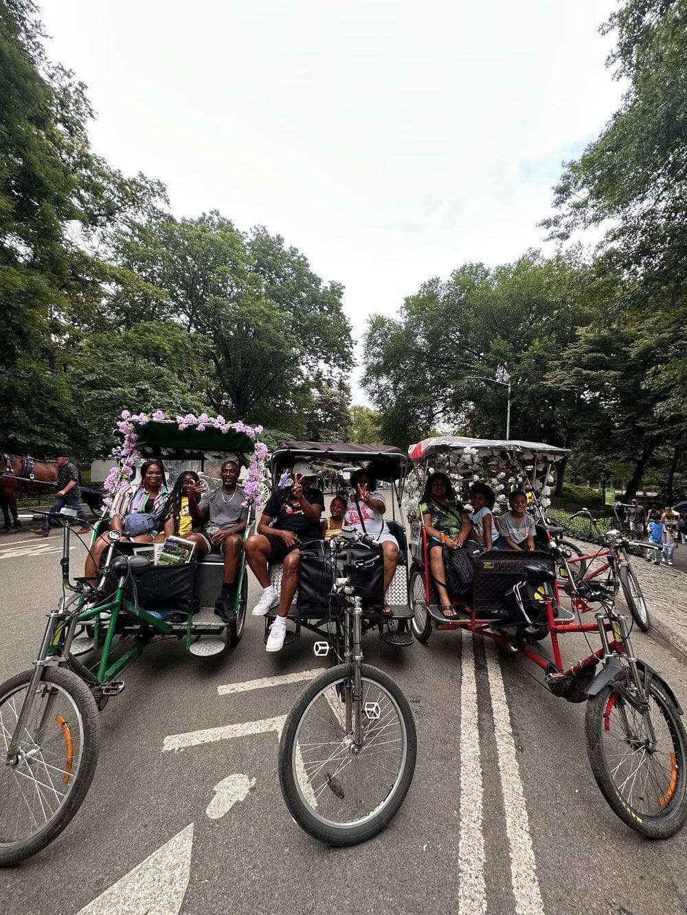 Urban Wildlife & Historic Sites: Deluxe Pedicab Tour in Central Park