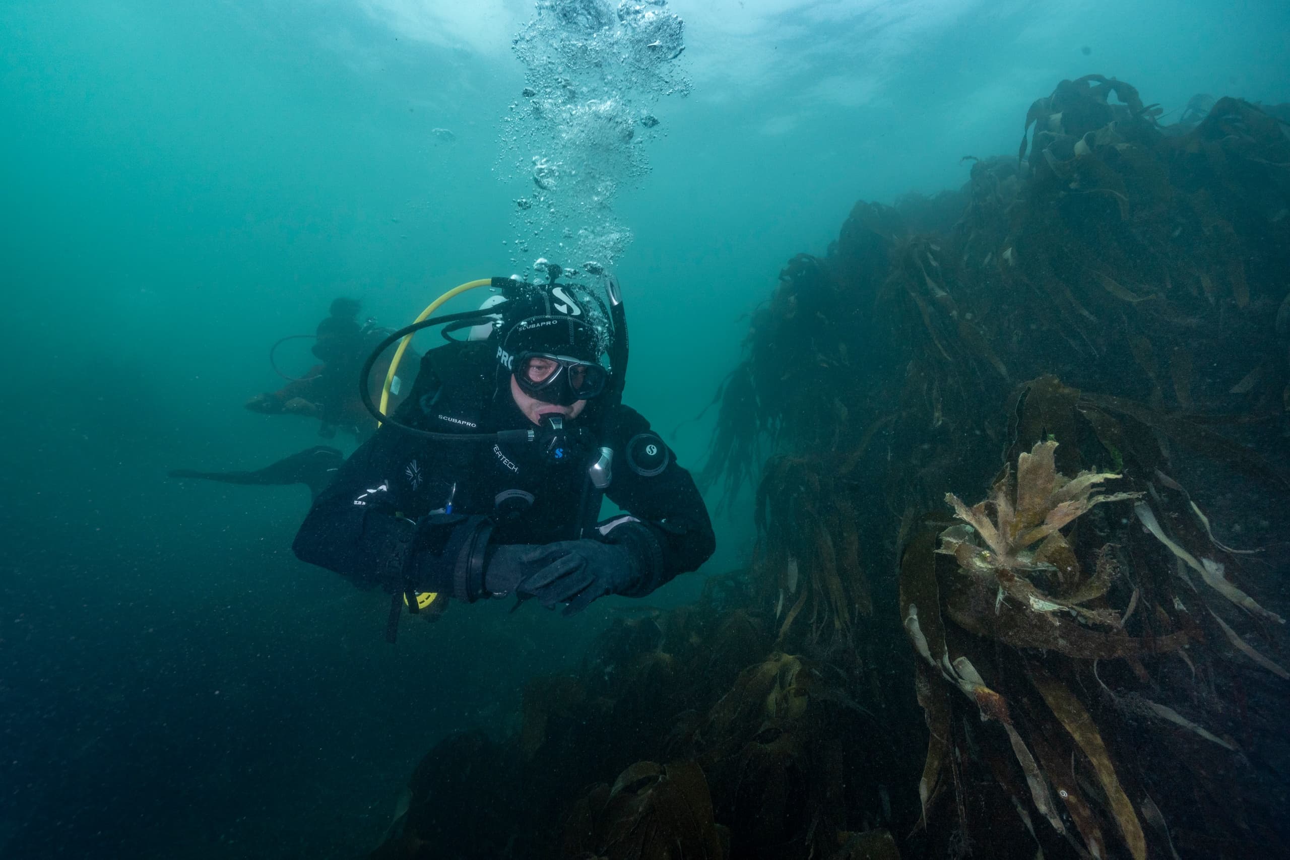 Dry Suit Specialty Diving in Monterey, California