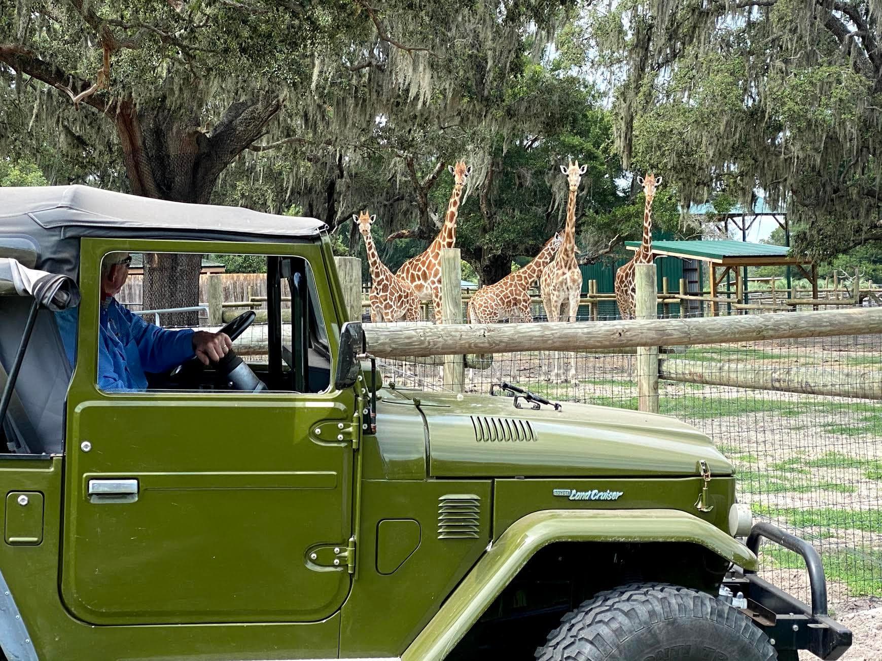 Giraffe Ranch team
