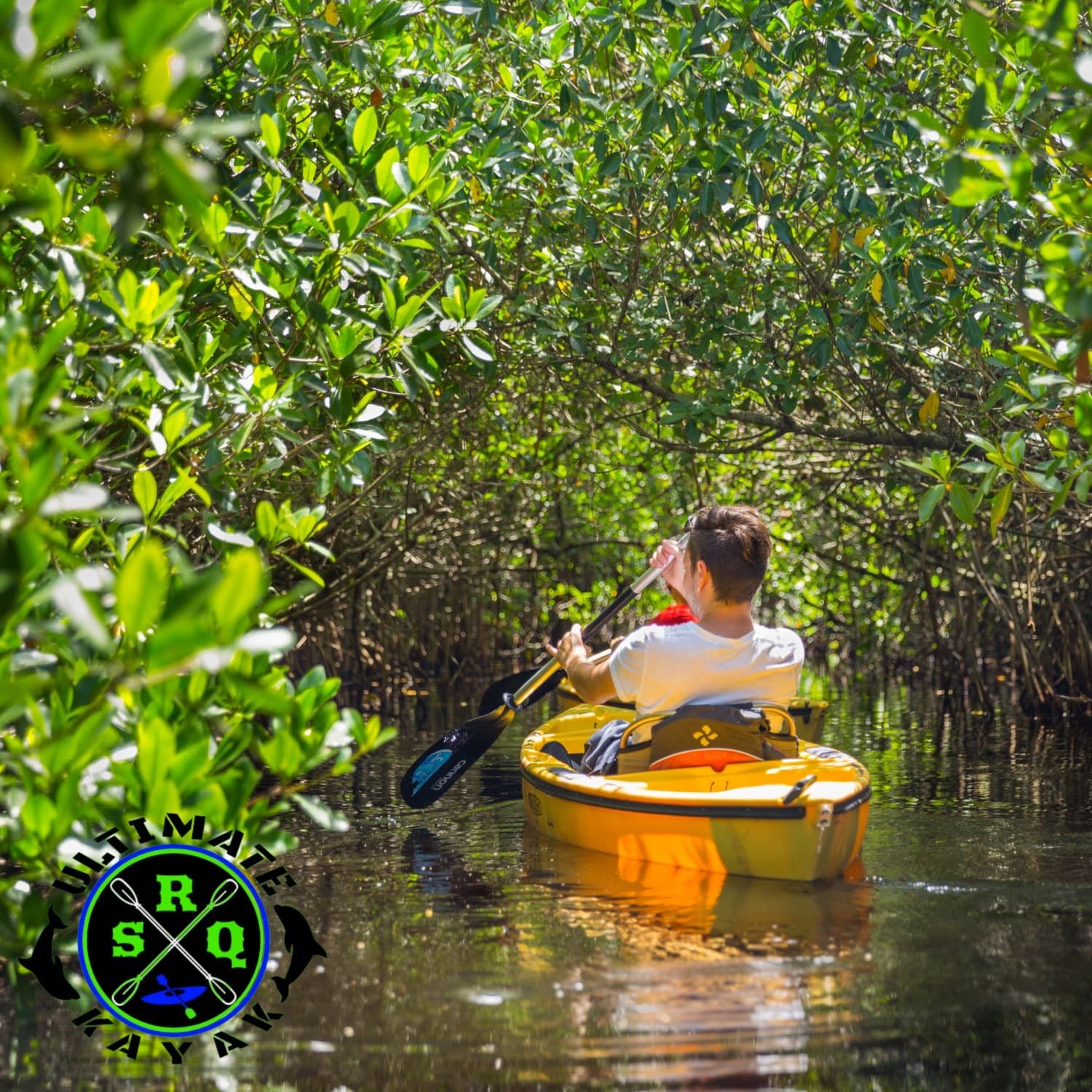 Kayaking the Mangrove Tunnels & Hidden Beaches with Ultimate Kayak SRQ in Sarasota