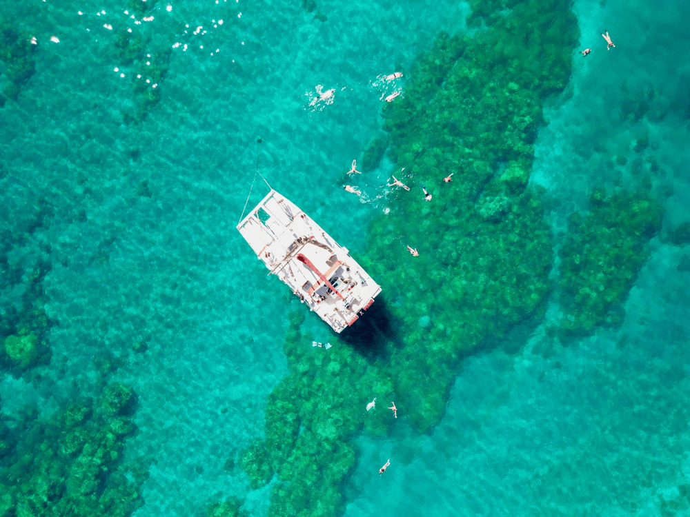 Sail to Coral Garden’s Turtle Town: Snorkel Turtle Reefs from Maui’s Winona photo 4