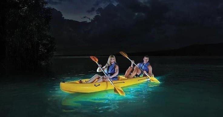 Biobay Kayak Tour in La Parguera, Puerto Rico