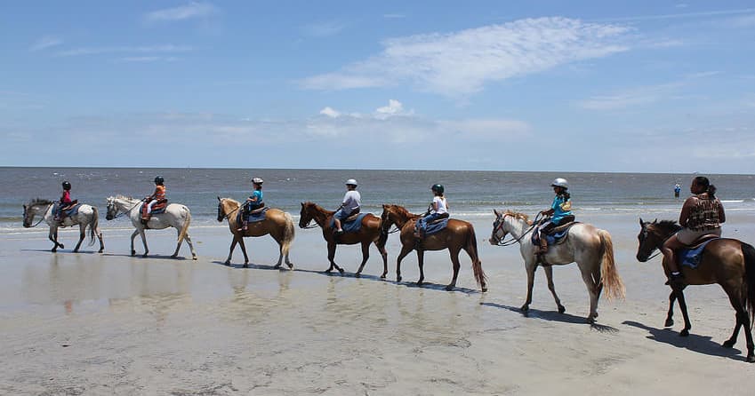 Horseback Riding on Jekyll Island with Golden Isles Carriage and Trail