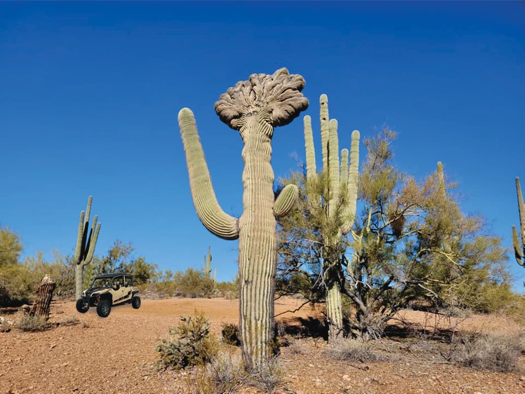 Five Day Polaris Off-Road Rental in Wickenburg, AZ