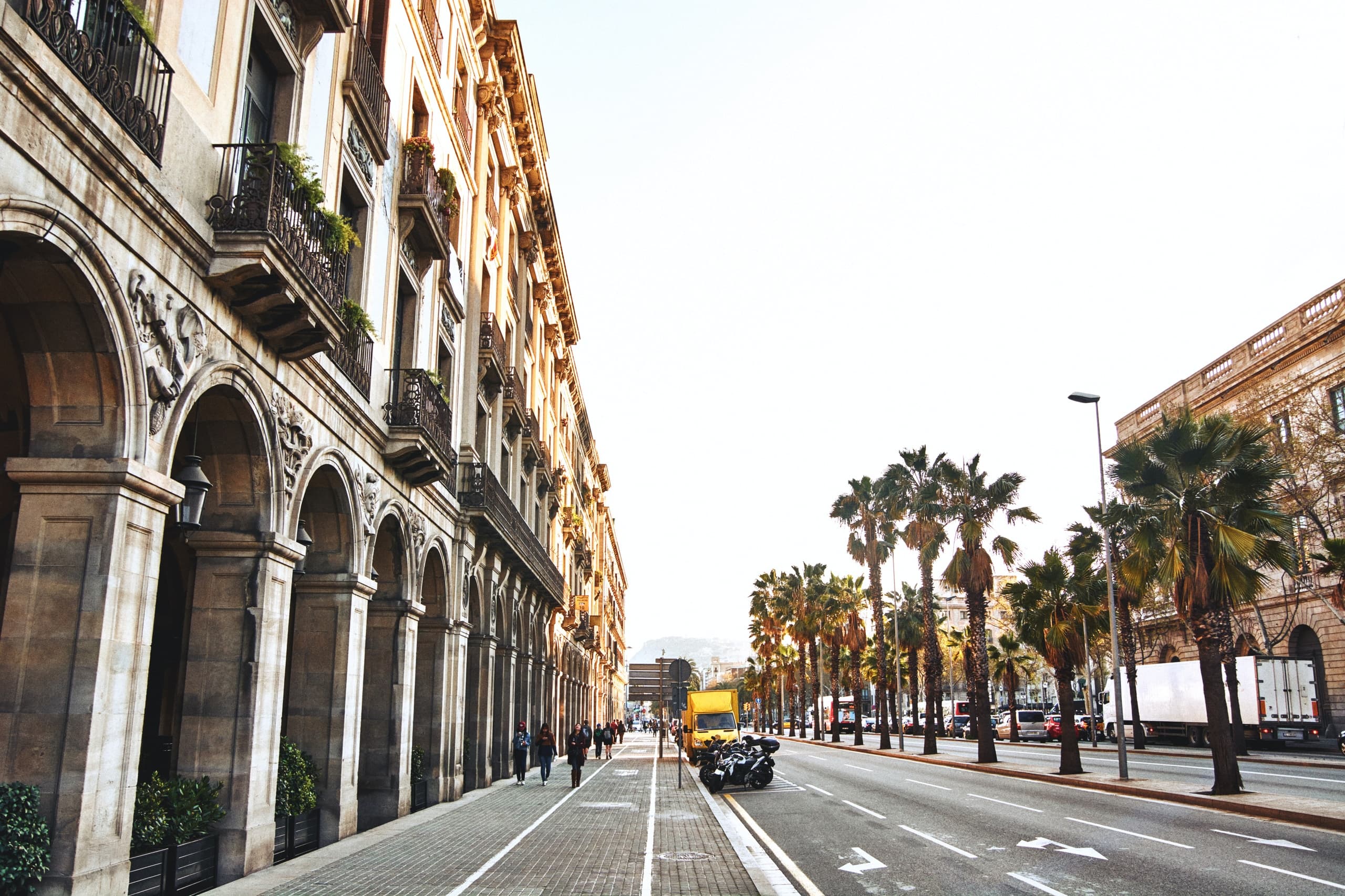 Bike Tours & City Adventures with Bamboo Bike Tours Barcelona