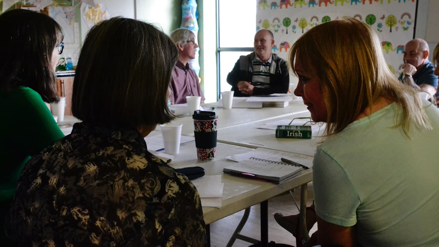 Wild Language Learning at An Droichead in Ireland