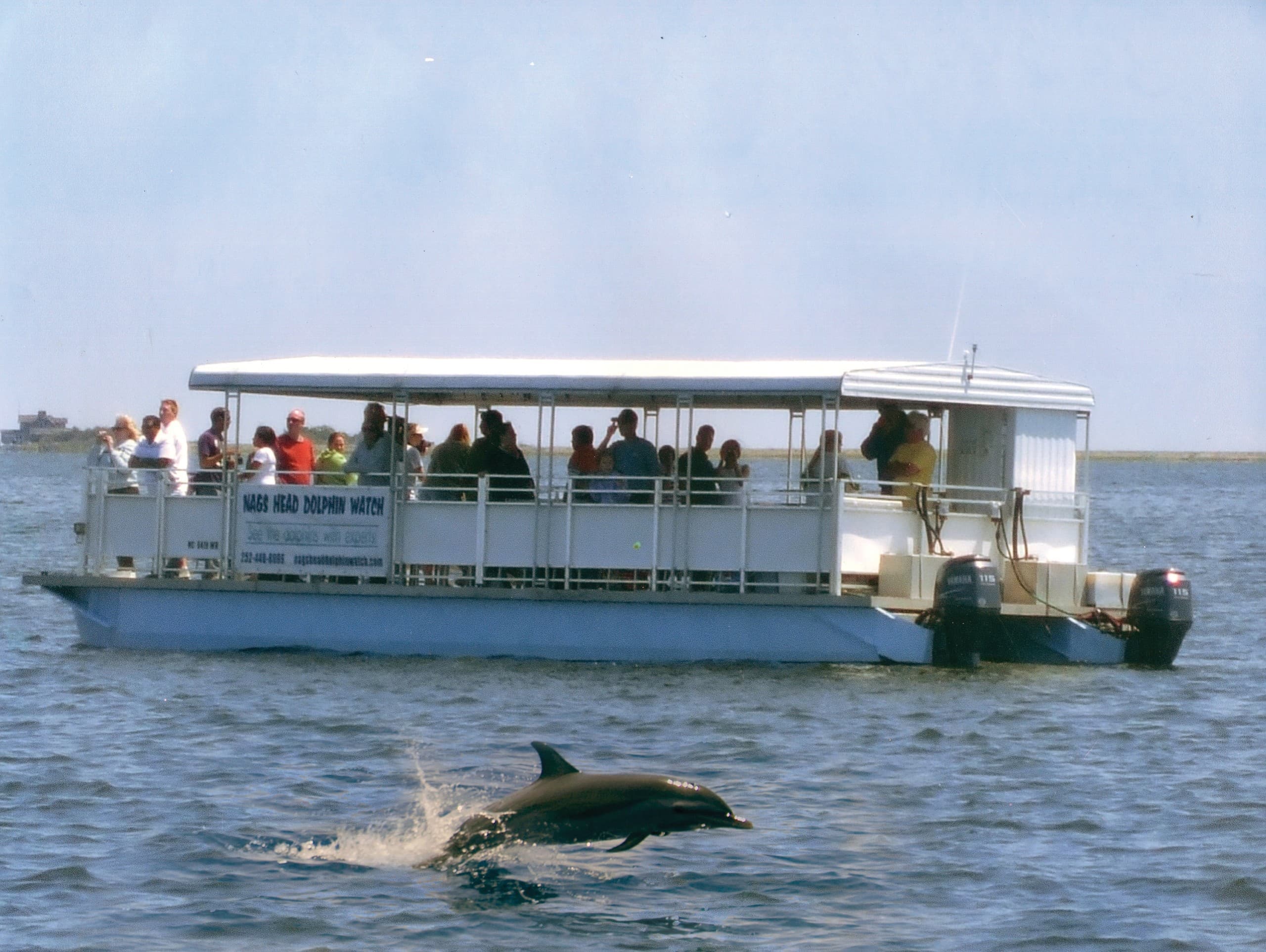 Dolphin Watch Aboard the Phoenix: Roanoke Sound Eco-Tour from Whalebone Watersports