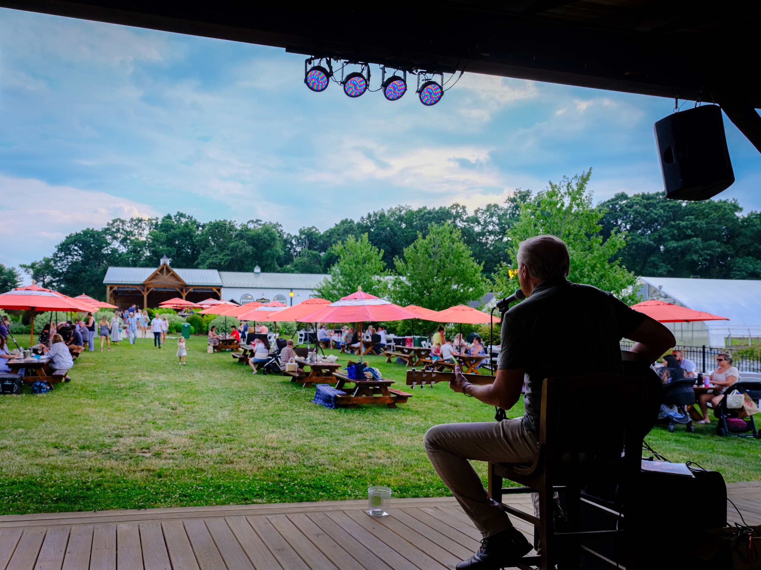 Outdoor concert at vineyard lawn with live musician on stage
