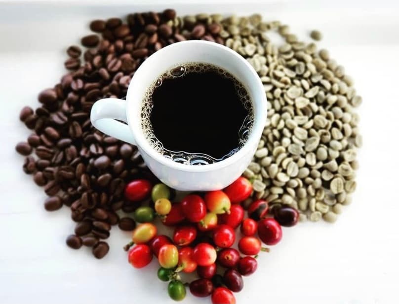 Cup of brewed coffee with roasted and green beans display
