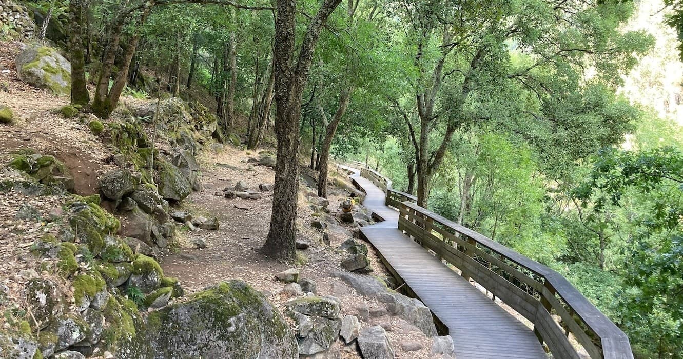 Shaded forest boardwalk trail winding through lush river gorge