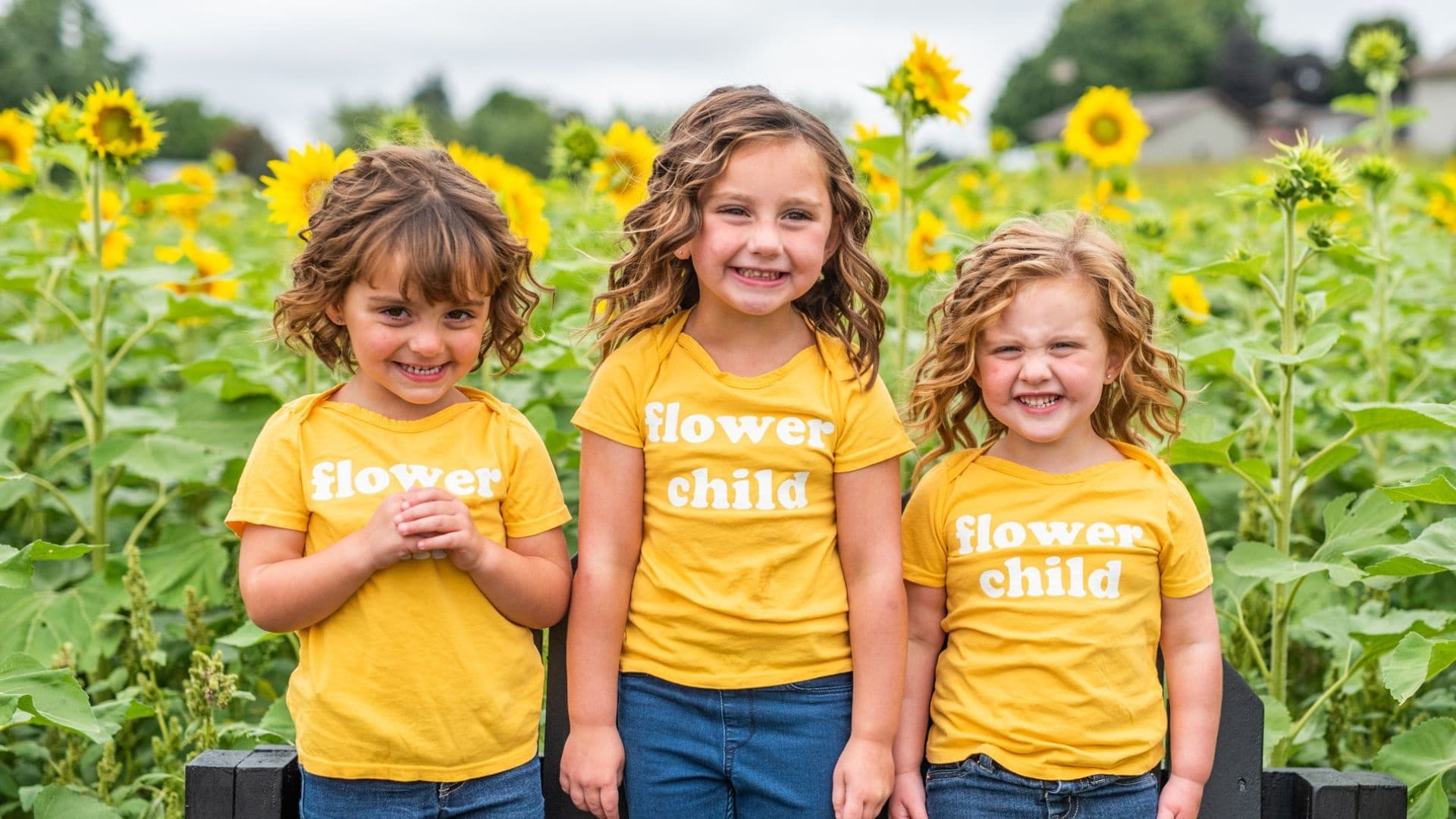 Sunflower Fest in Grand Rapids, Michigan: Celebrate Nature