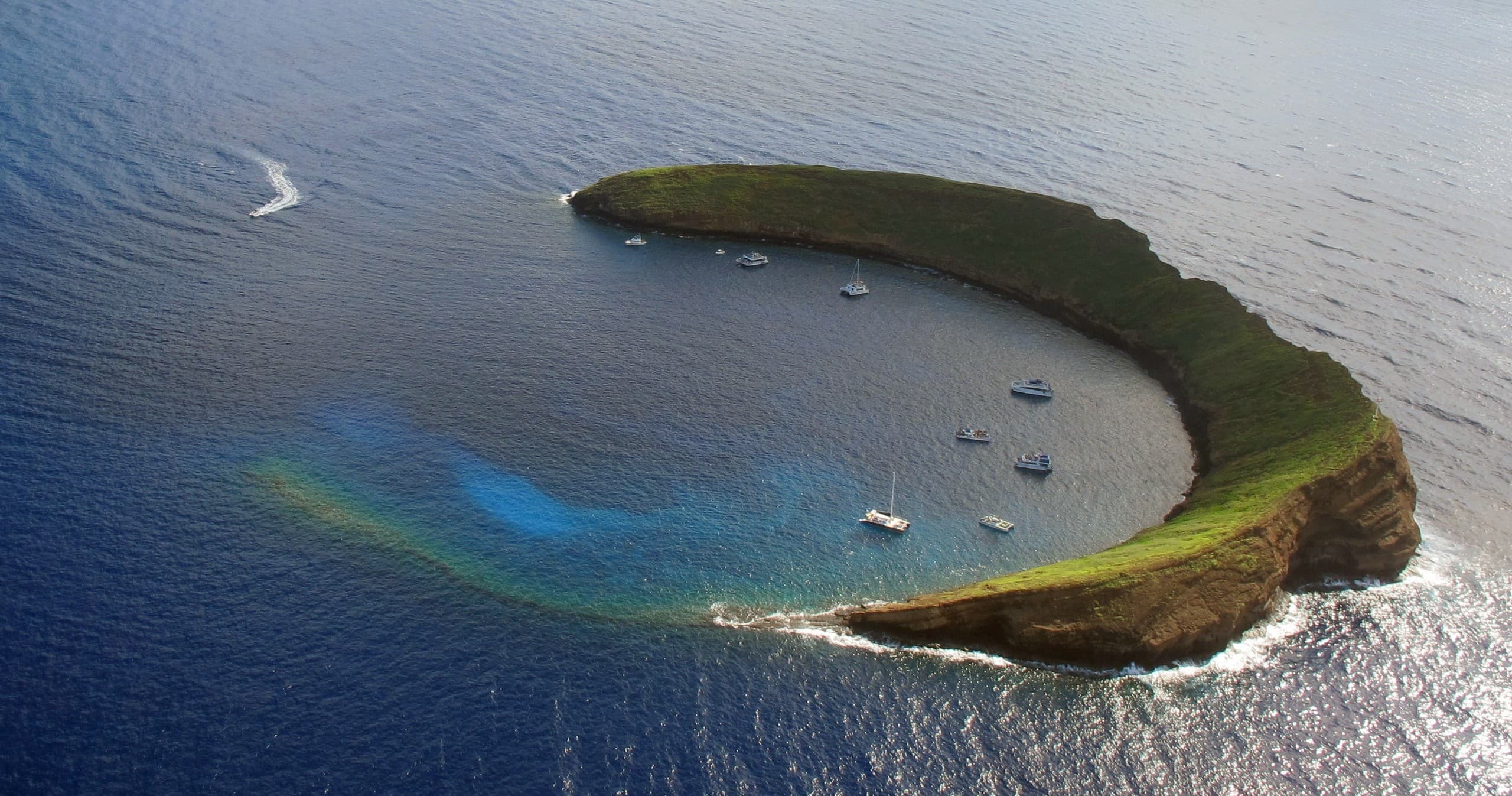 Dive Deep into Maui’s Molokini Backwall: An Advanced Scuba Adventure