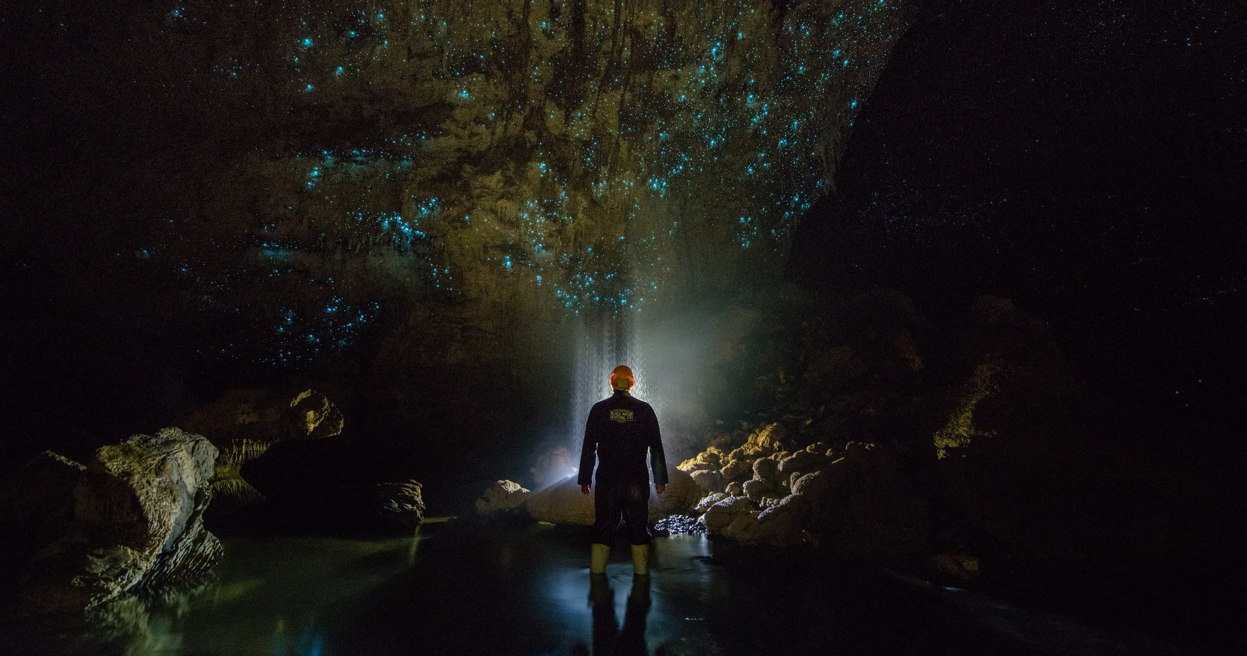 Auckland & Beyond Tours: Waitomo to Rotorua Journey