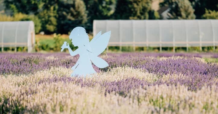 Lavender Fields and Quiet Paths: Self-Guided Farm Tour in Heber City