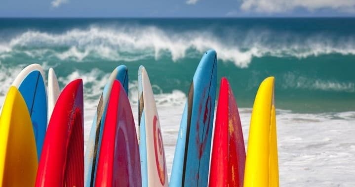 Avila Beach Surf Shop fleet