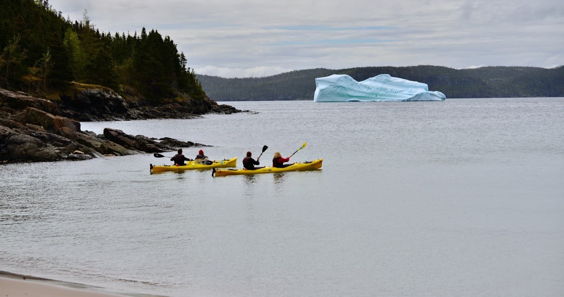 Guided Ocean Kayak Tour in Eastport, Newfoundland