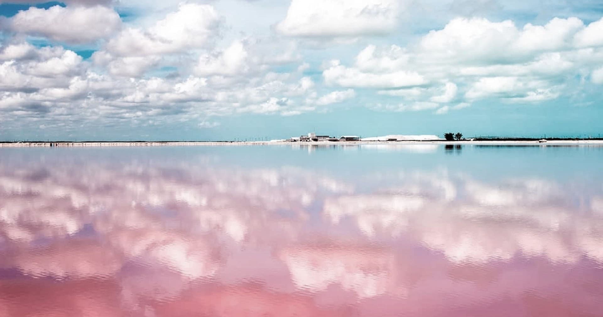 Walking the Pink Ponds: Ruta del Cristal Camina at Las Coloradas, Yucatán