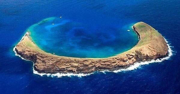 Molokini Snorkel & Sail Adventure in Wailuku, Hawaii