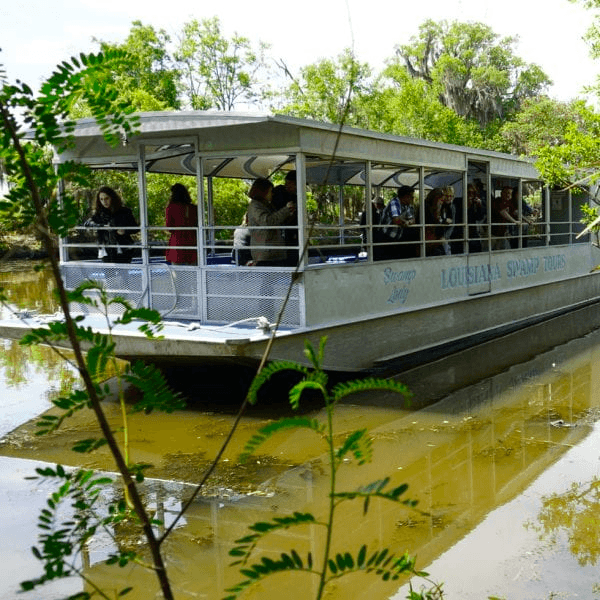 Louisiana Swamp Tour by Tourboat with Louisiana Tour Company