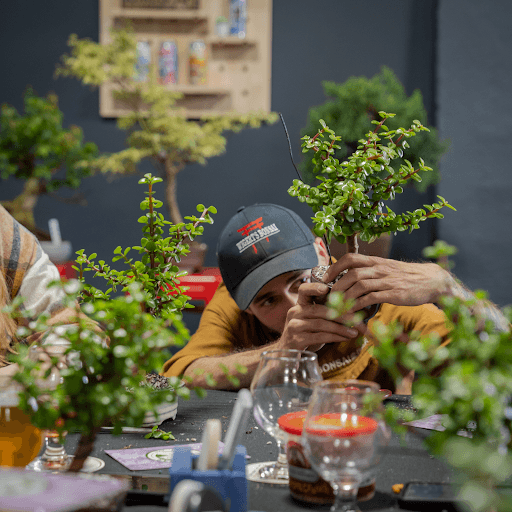 Bonsai Bar at Long Beach Beer Lab: Craft Beer Meets Tiny Trees on Willow Street photo 1