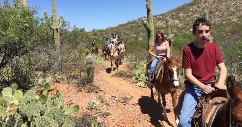 Land Adventure at Rockin' Star Ranch